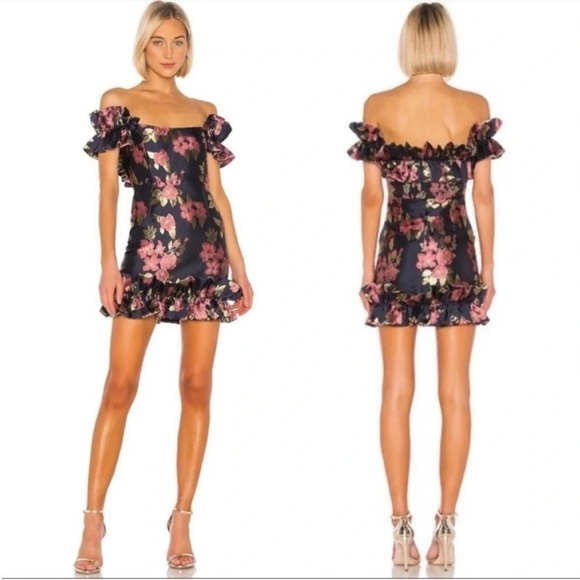 V. Chapman Hollyhock Mini Dress Baroque Rose Floral Brocade NWT - Picture 2 of 12